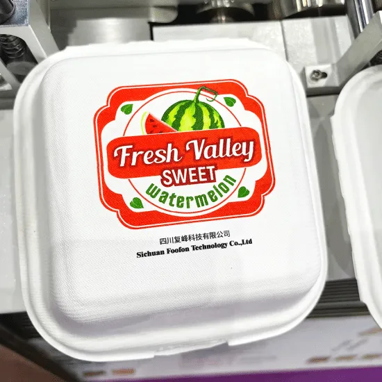 Biodegradable Dinner Box