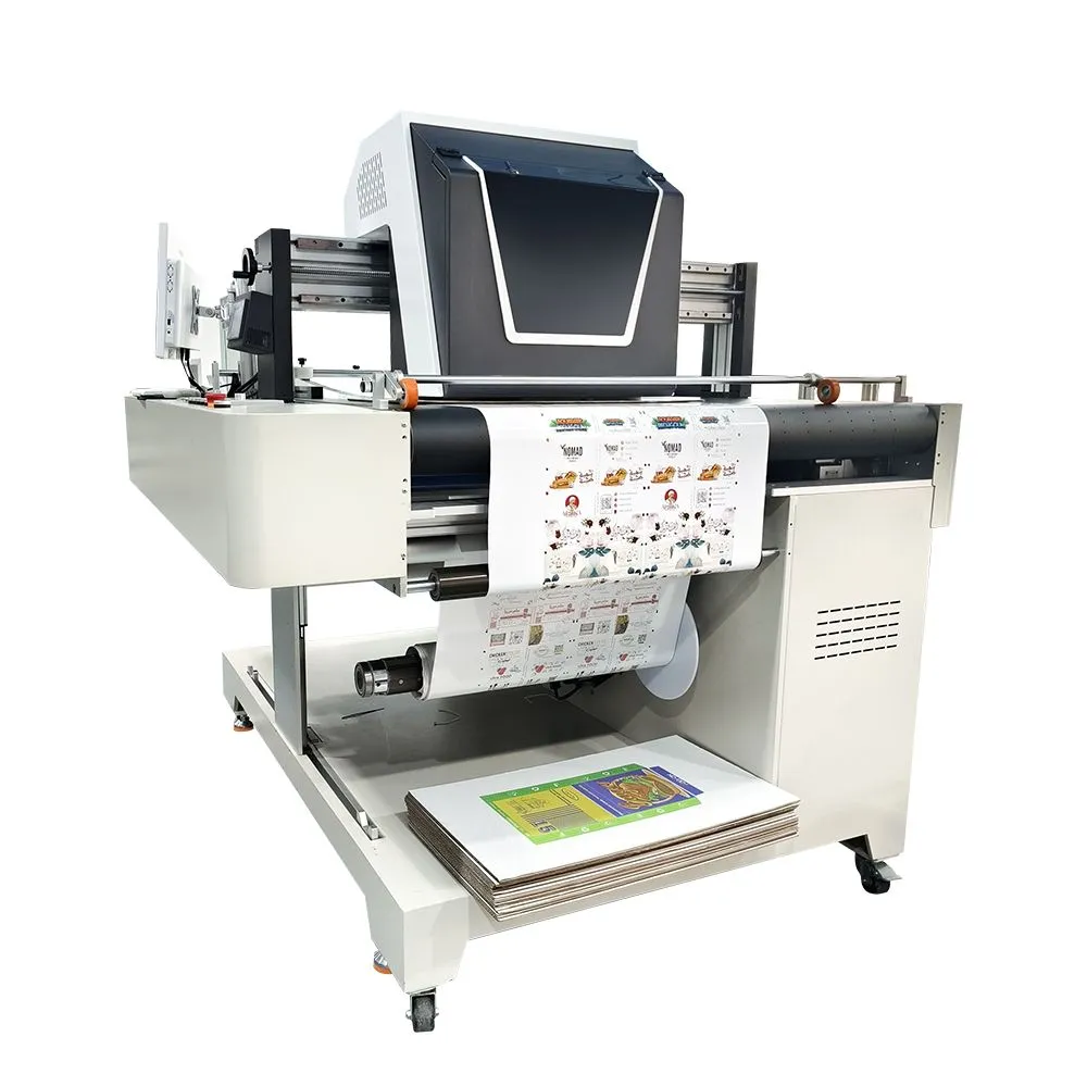 roll to roll printer (8)